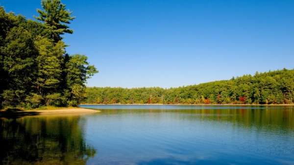 大圣策略 刘擎提醒千名现场读者：梭罗从来不漠视社会问题