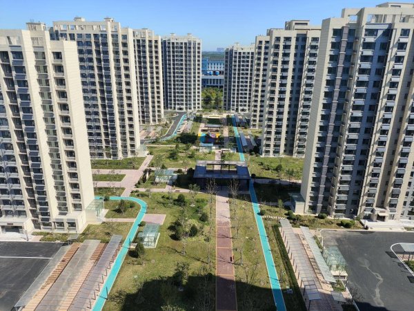 龙辉配资 农发行山东省分行全力支持济南新旧动能转换起步区和济阳区经济社会发展