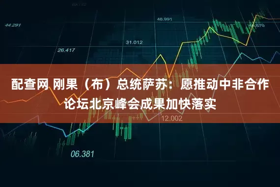 配查网 刚果（布）总统萨苏：愿推动中非合作论坛北京峰会成果加快落实