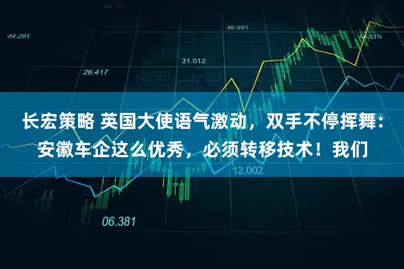 长宏策略 英国大使语气激动，双手不停挥舞：安徽车企这么优秀，必须转移技术！我们